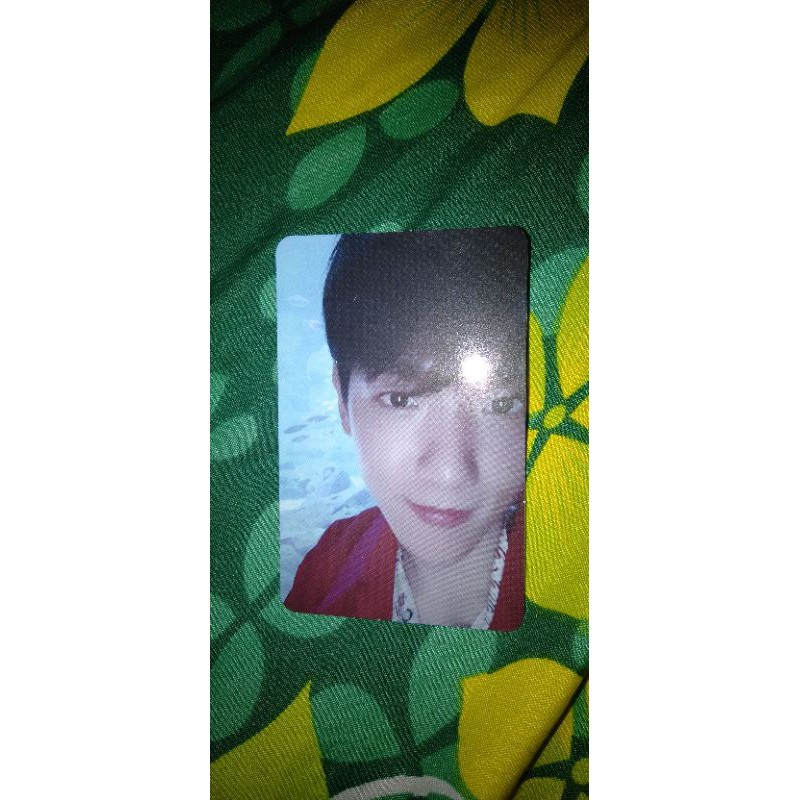 photocard baekhyun bambi