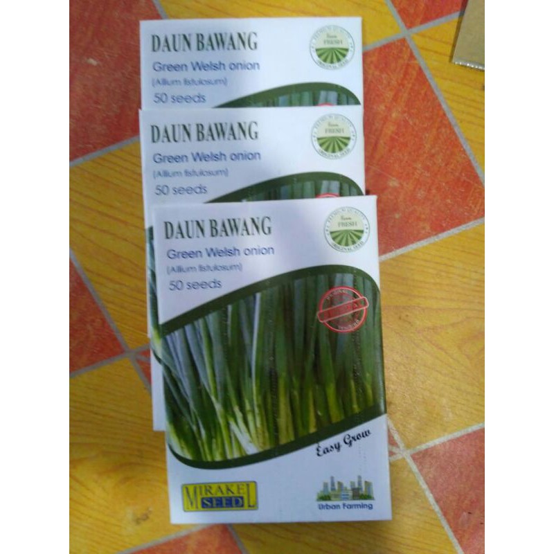 

DAUN BAWANG isi 50 biji