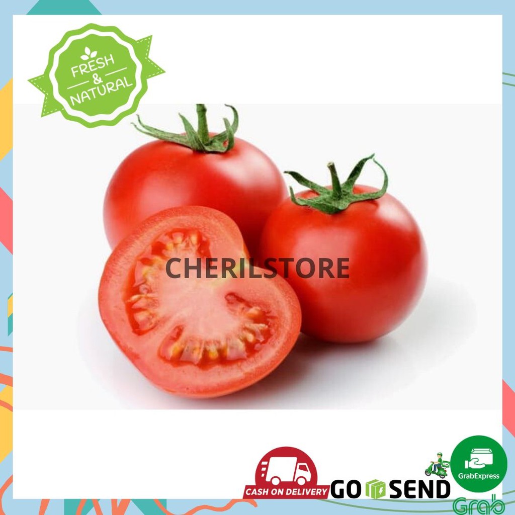 TOMAT / TOMATO BUAH SAYURAN SEGAR BUMBU DAPUR