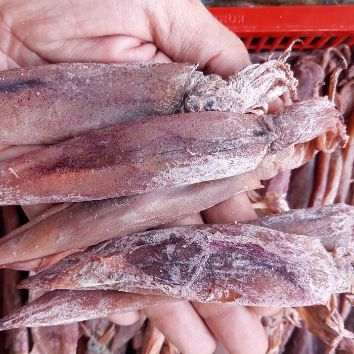

ikan cumi asin SS gepeng kualitas super