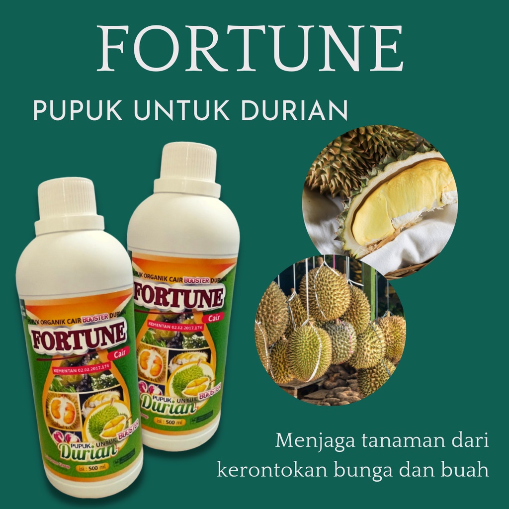 Jual Pupuk Cair Untuk Durian Montong Fortune Pupuk Organik Cair Agar