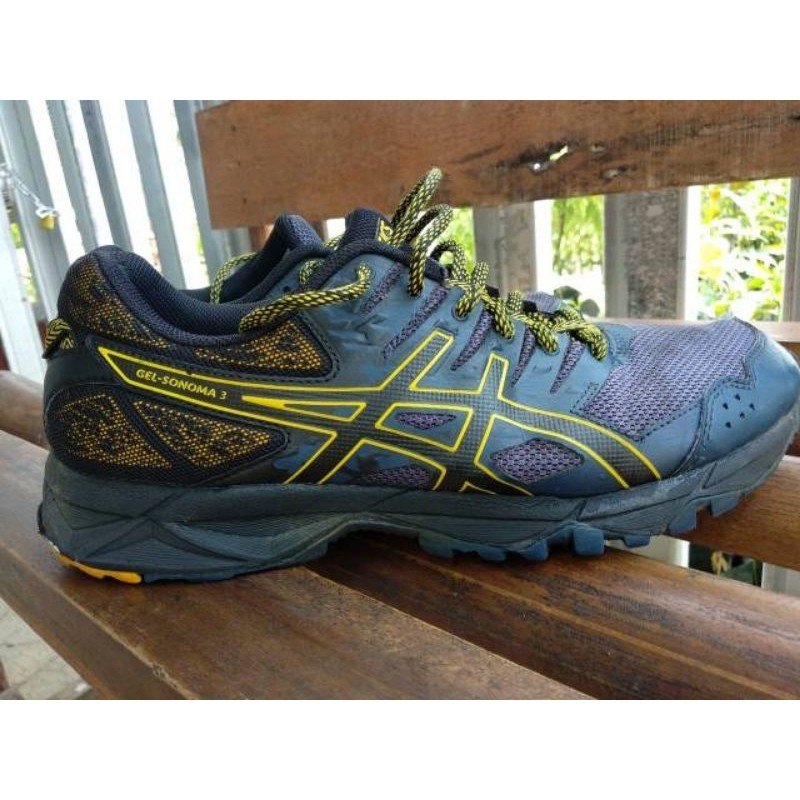 

asicsgelsonoma3