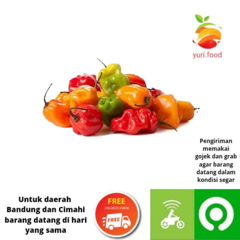 

Cabe gendot 100gram (Cimahi satu hari sampai)