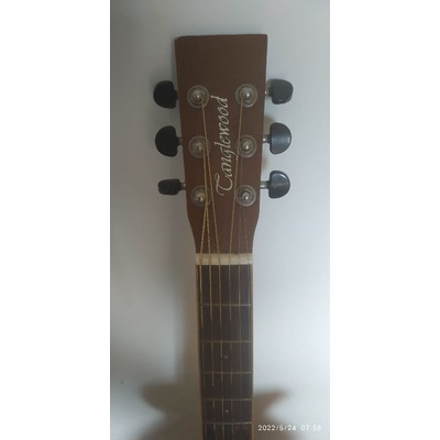 Gitar Acoustic Tanglewood DBT SFCE DVB