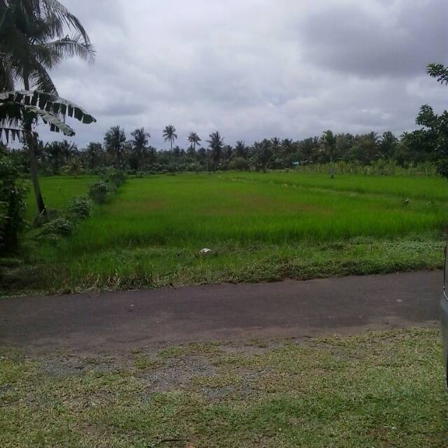 bengkelsuling