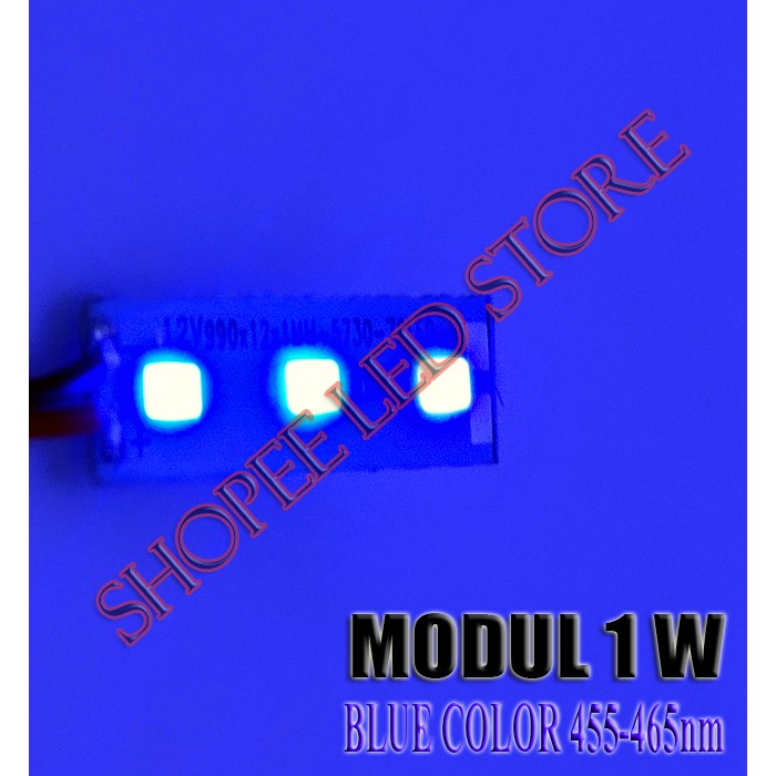 EKONOMIS....!!  HPL 1 WATT MODUL SMD 5730 5630 12VOLT BLUE PLAFON PAPAN REKLAME