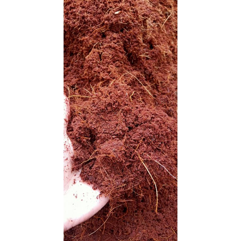 MEDIA TANAM COCOFIT | COCOFEAT | SERABUT KELAPA | ALAS REFTIL