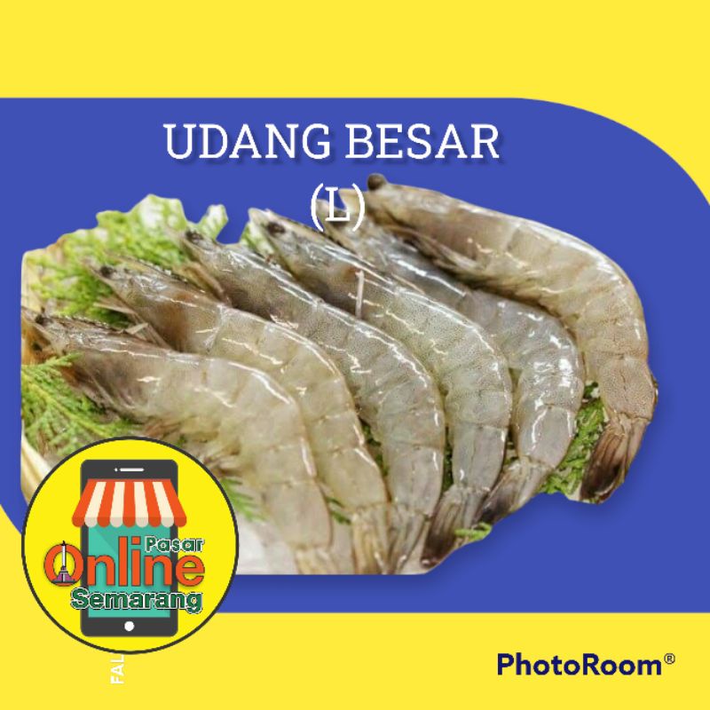 

Udang Ukuran Besar / Segar / Fresh / Belanja Ikan Semarang / Ikan Semarang Murah / Makan Bergizi