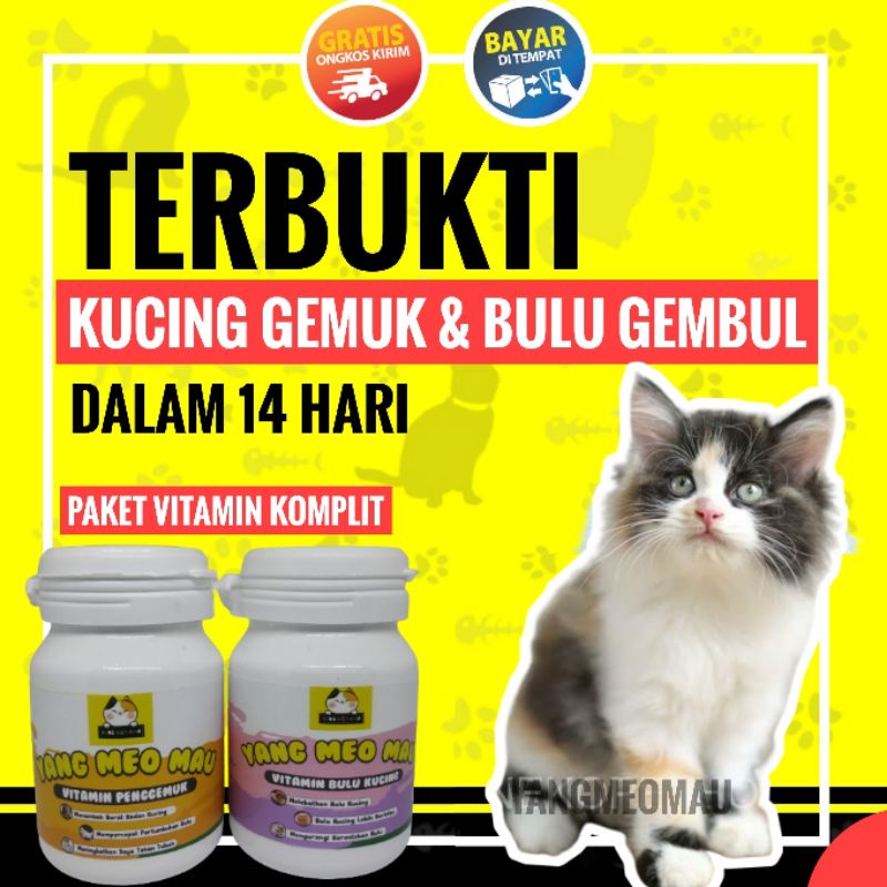 YANGMEOMAU Vitamin Kucing Cat Kitten Adult Suplemen Nutrisi Makanan Harian Kucing Penambah Nafsu Makan Kucing Obat Gemuk Penggemuk Kucing Gembul Kulit Bulu Sehat Tulang Kuat Lysine Minyak Ikan