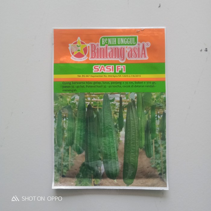 10gr BENIH OYONG /GAMBAS F1 SASI - BIBIT OYONG