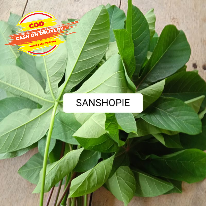

Daun singkong karet muda segar 1 kg