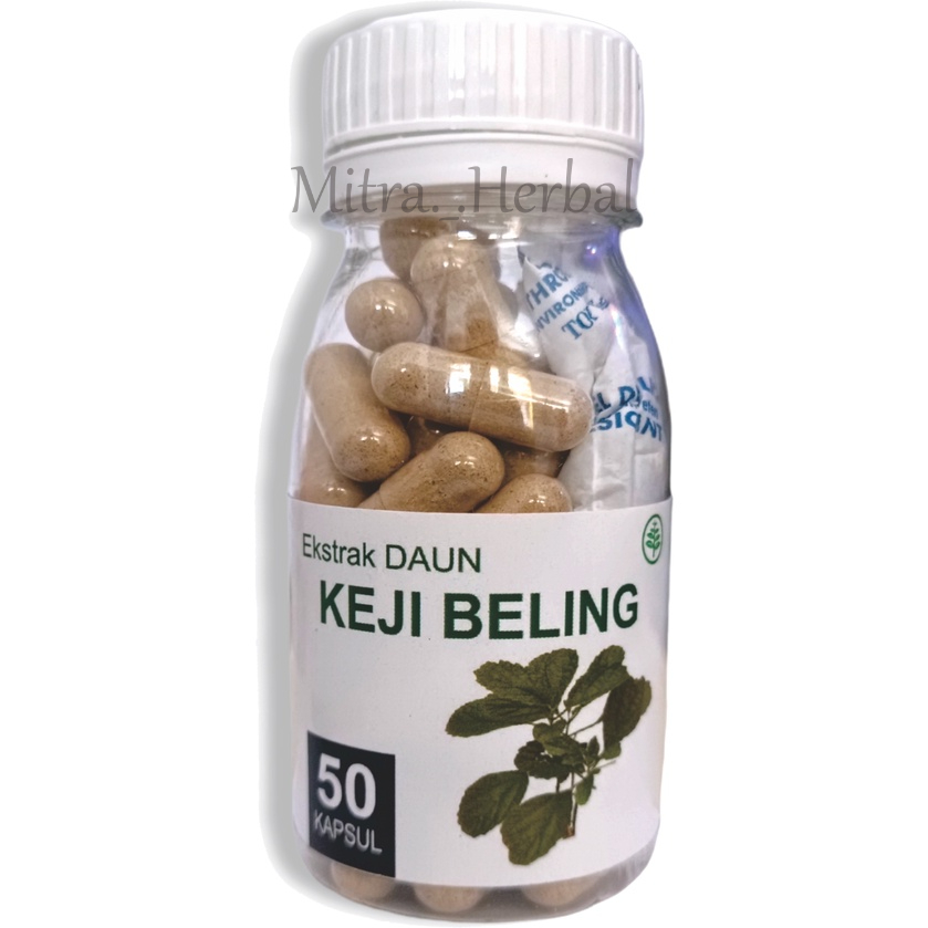 Daun Keji Beling Suplemen Kesehatan / Obat Batu Ginjal / Herbal Jamu Isi 50 Kapsul