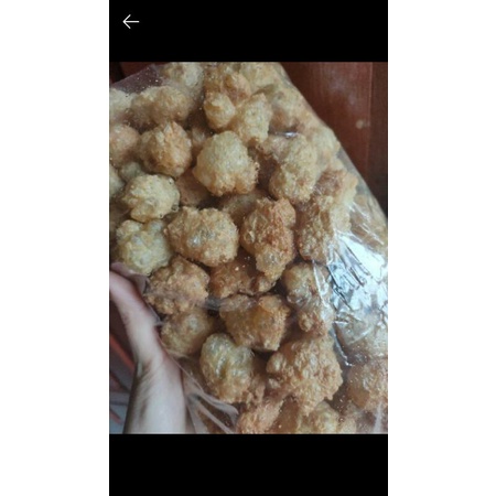 

hu pio vegetarian vegan ikan