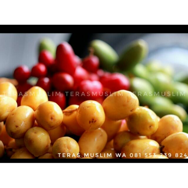 

Rutob Kuning Kurma Muda Segar Fresh support Promil Busui Bumil Yellow Ruthob