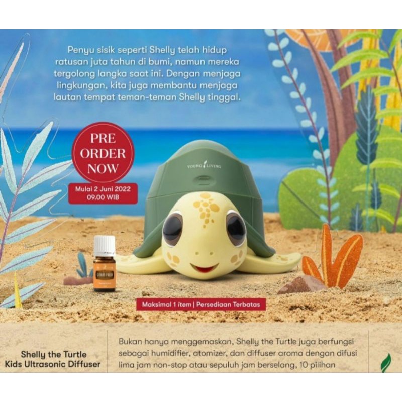 shelly the turtle diffuser young living