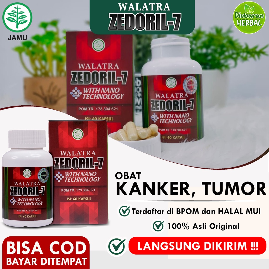 Jual Walatra Zedoril Kapsul Obat Herbal Kanker Dan Tumor Original Indonesia Shopee Indonesia