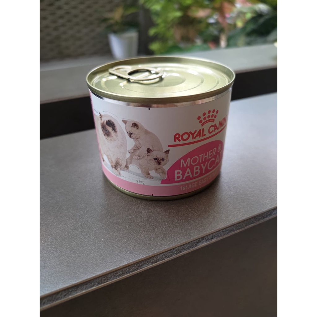 Royal Canin Mother Baby Cat Wet Food 195gr