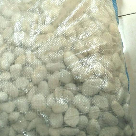 ❃ Batu Koral Putih , Batu Taman , Batu Hias 1 karung ✰