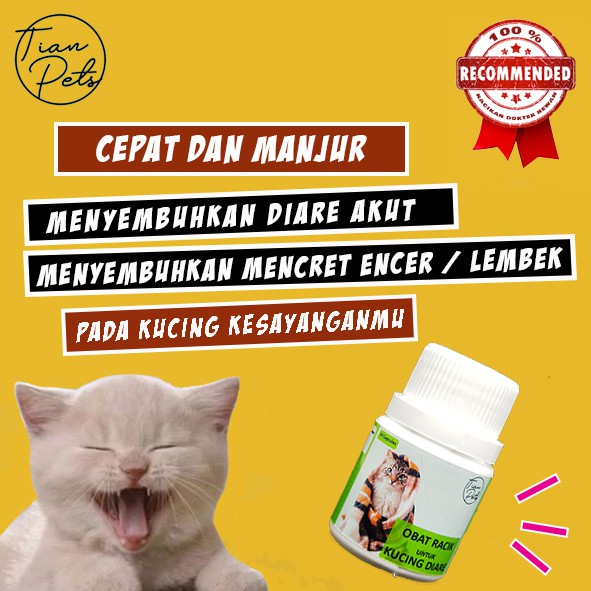 OBAT MENCRET DIARE PANLEUKOPENIA KUCING RACIKAN DOKTER HEWAN AMPUH MANJUR