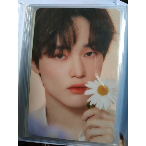 BOOKED pc chenle candylab v4 konsep