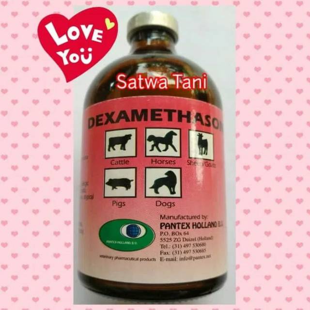 Dexamethasone (anti radang, anti inflamasi) 100 ml