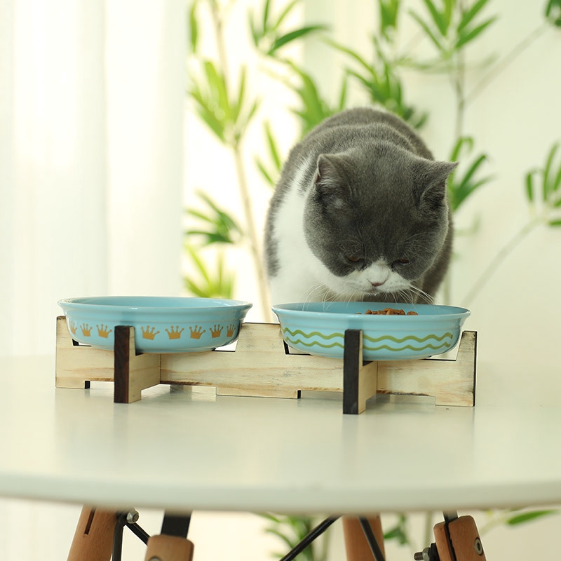 Mangkok Makanan Anjing Kucing Bentuk Kartun Warna Biru Shopee