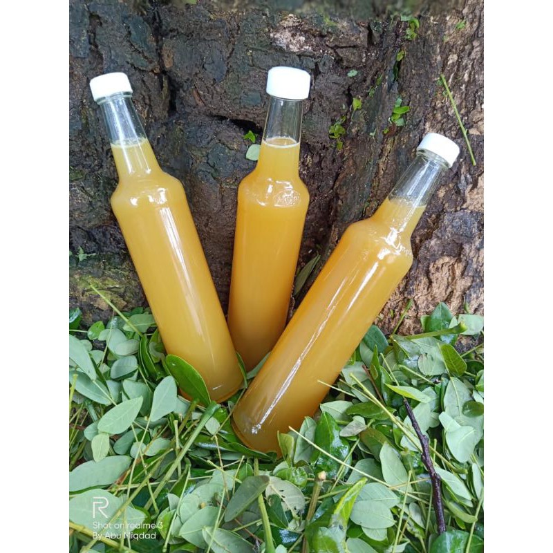 

madu Kaliandra (sanad terpercaya)