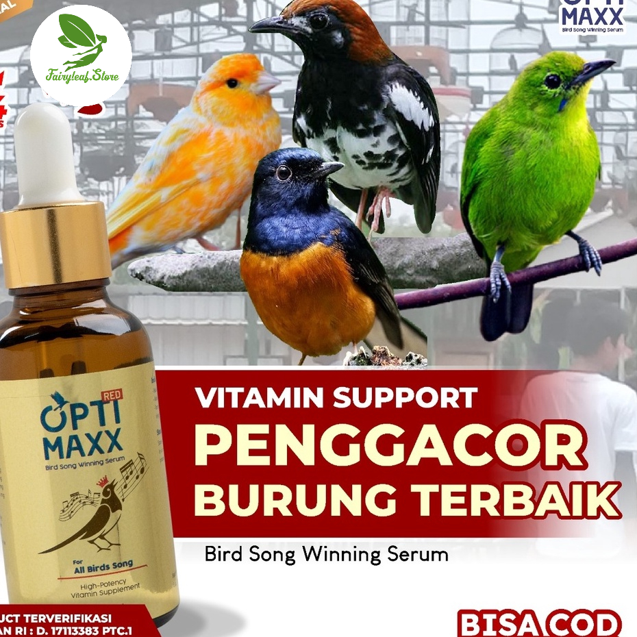 Optimaxx Vitamin  Burung Kicau Gacor Di Gantangan Lovebird Murai Batu  Kenari Kacer Kaos Mania