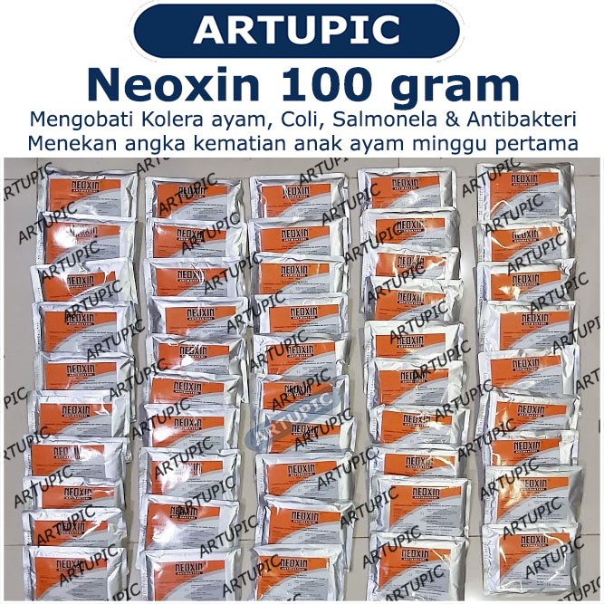 Neoxin 100 gram Kolera Coli Salmonela Antibakteri Kuman Pencernaan Antibiotik Unggas Ayam Hewan