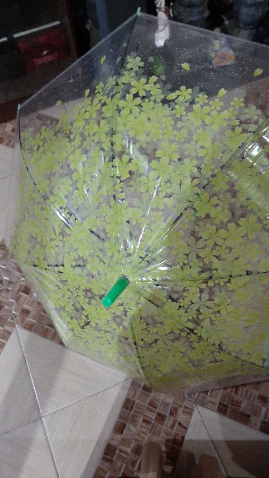 Payung Transparan/payung Tongkat/bening/payung Motif Bunga