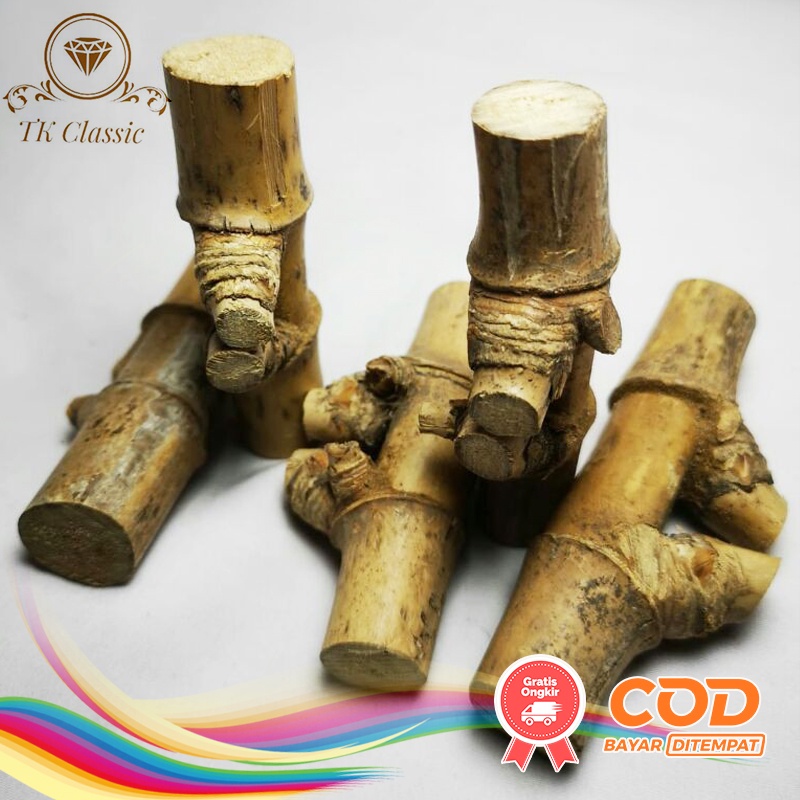 Bambu Pethuk Bertemu Ruas Asli Bambu