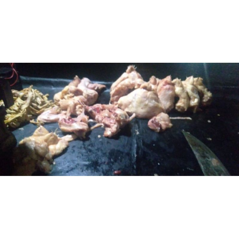 

ayam potong segar