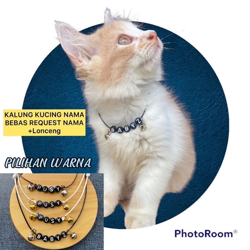 Kalung nama kucing | Kalung kucing nama | Kalung kucing request nama | Kalung kucing+lonceng | KALUN