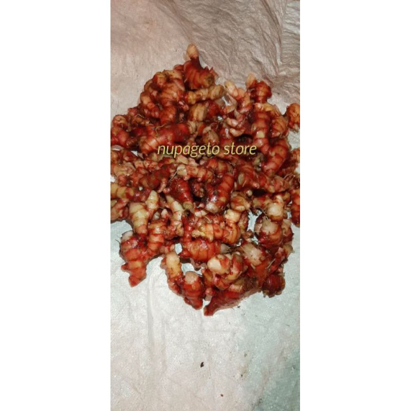 JAHE MERAH BANDUNG SUPER KUALITAS INDUSTRI 1 KG