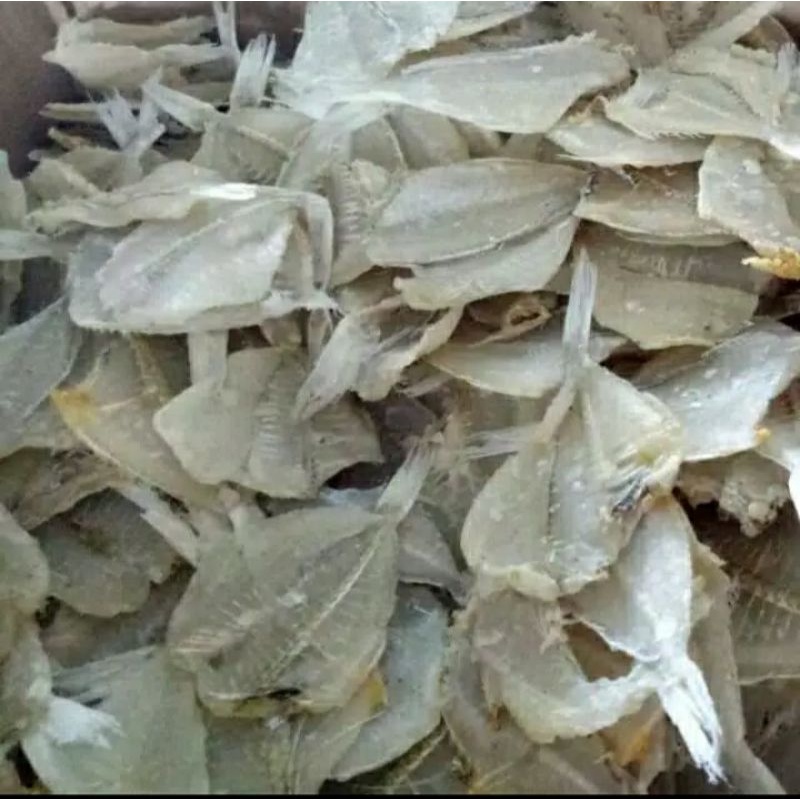 

kapasan 1,5kg