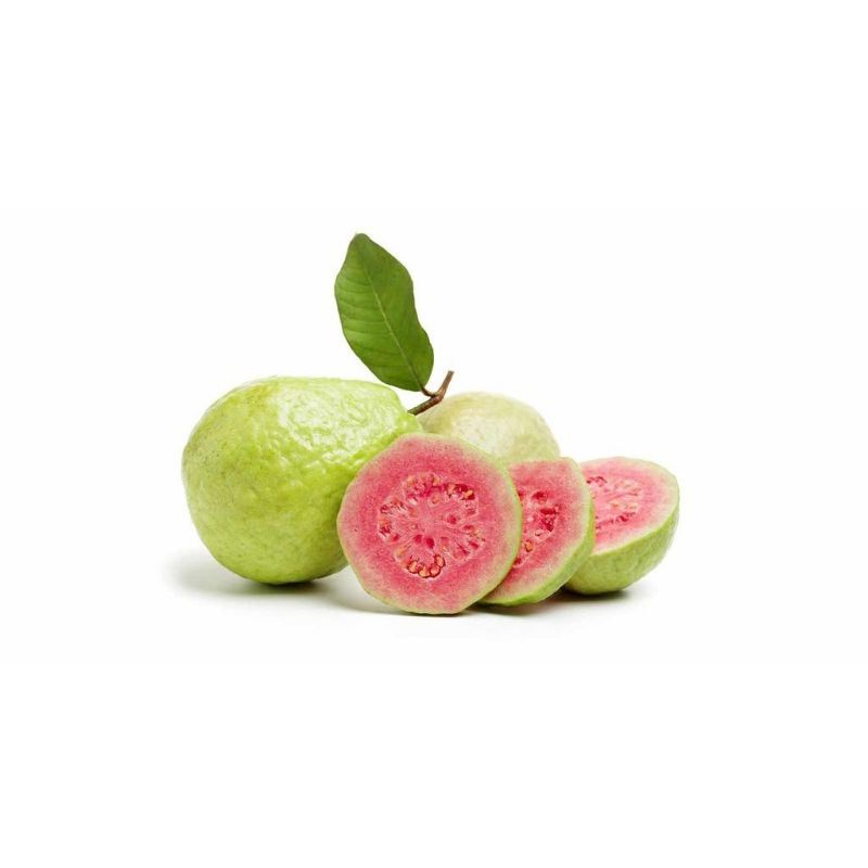 

Jambu biji - 1 kg