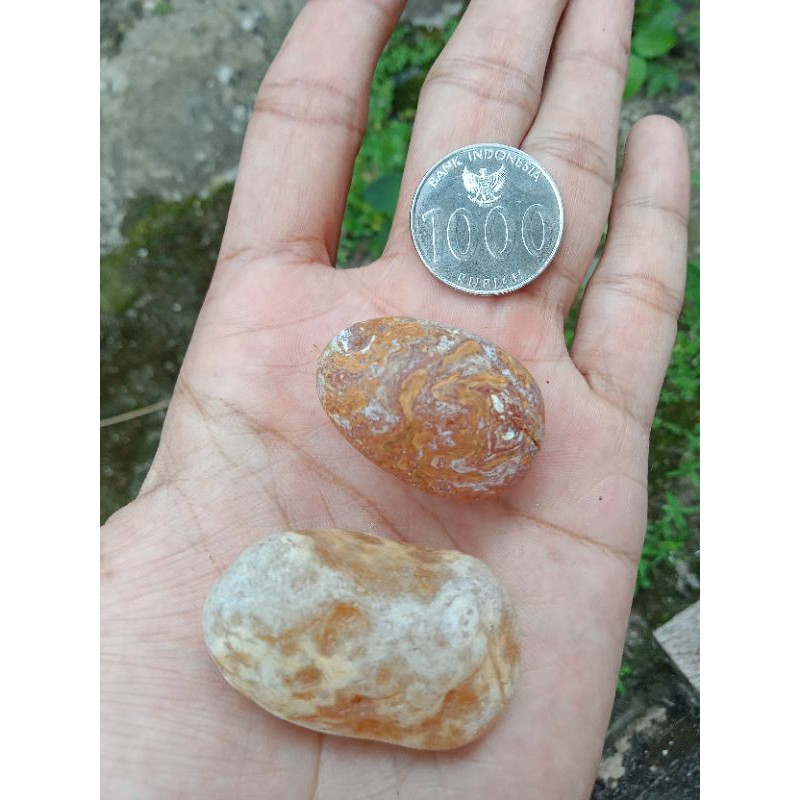 Batu Akik Limau Manis / Sunkis Ujung Tanjung ( Rough isi 2 - bukan bacan obi kalimaya red baron )