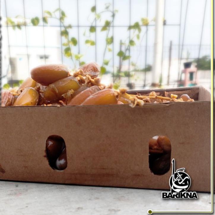 

[KODE PRODUK NVBE86196] Kurma Ruthob Libya 500gr