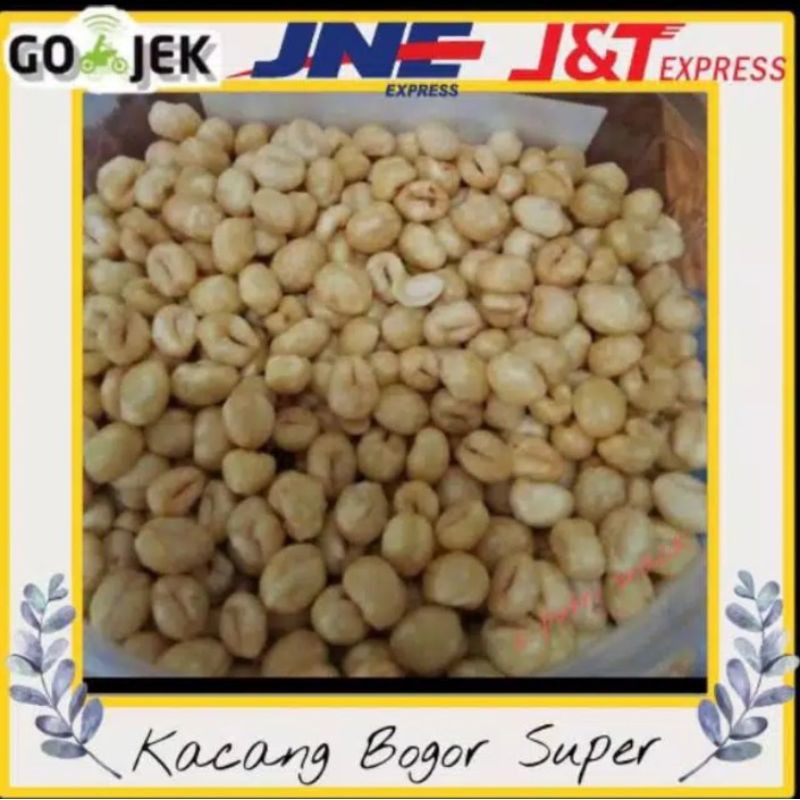 

Kacang Bogor super 250gr