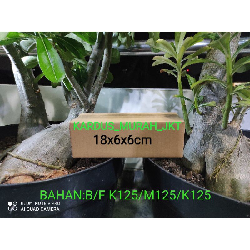 

KARDUS/KARTON POLOS UKURAN 18X6X6CM