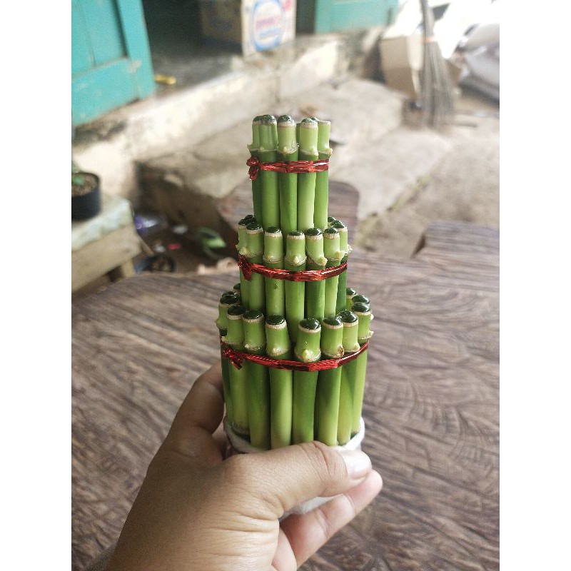 Bambu Sri Rejeki