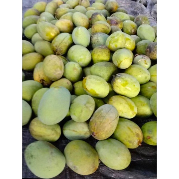 

Kuini Khas kalimantan Per Biji