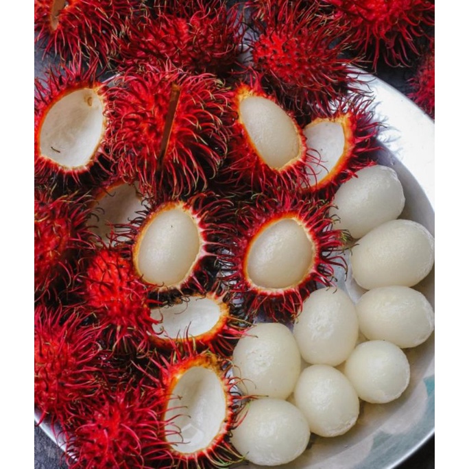 

Rambutan ORI segar