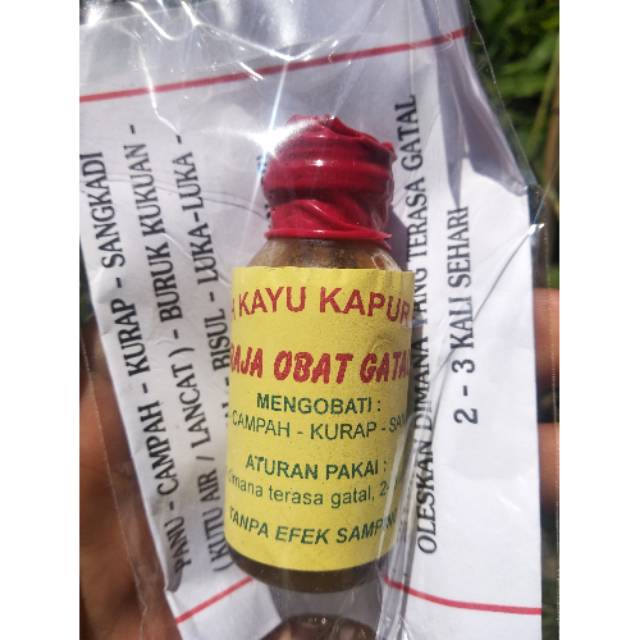 Jual Raja Obat Gatal Getah Kapur Naga,Obat Gatal Mujarab,Penyakit Kulit ...