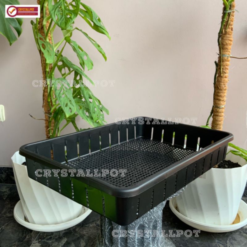 Tray pot untuk semai bibit hidroponik 50cm - TRAY POT NKT 50CM