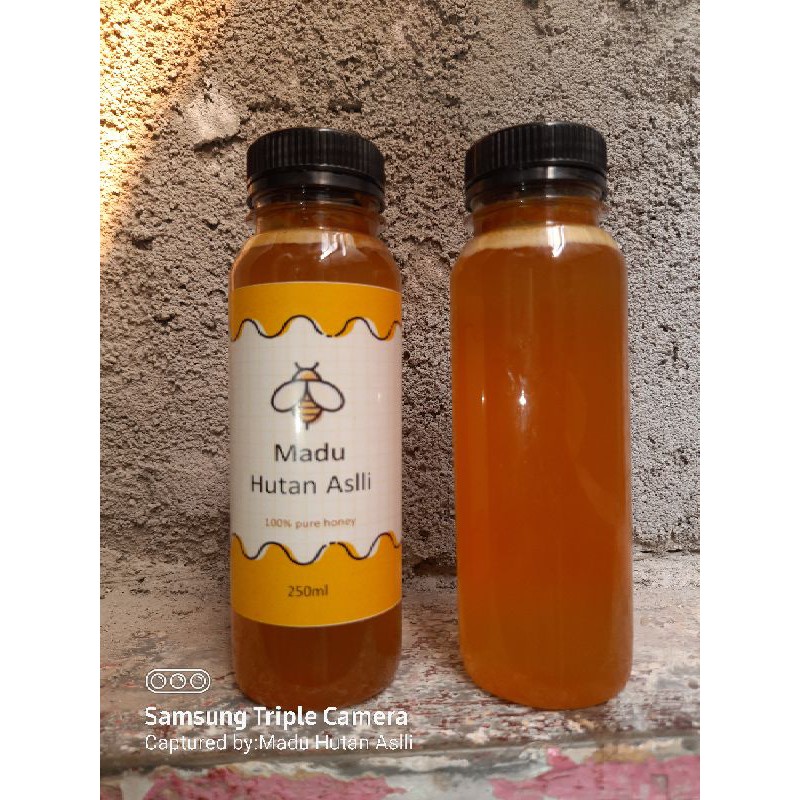 

Madu Hutan Aslii 250ml