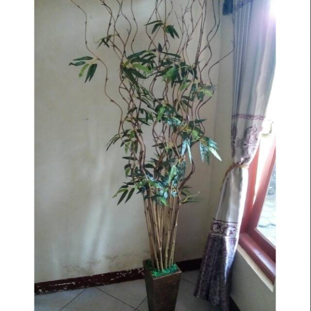 Dekorasi sudut ruangan bambu cendani