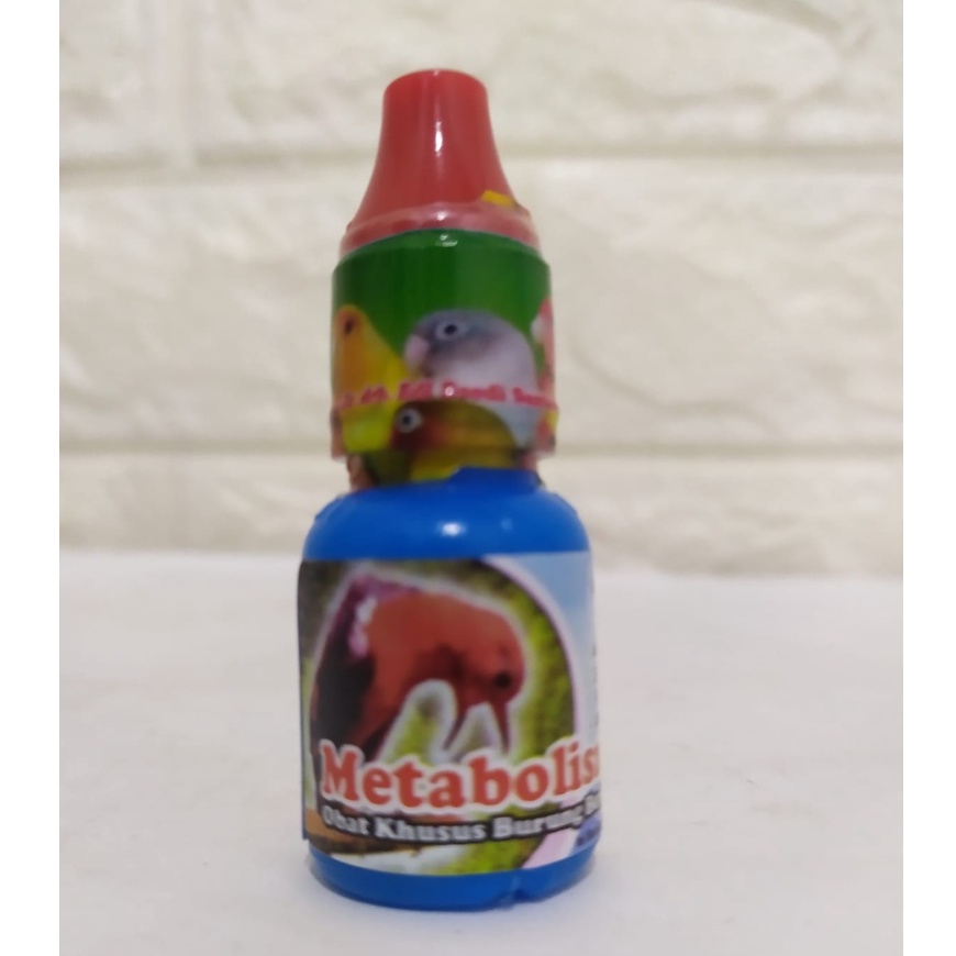 Metabolis vitamin metabolisme burung pleci kenari love bird sogok ontong murai macet bunyi