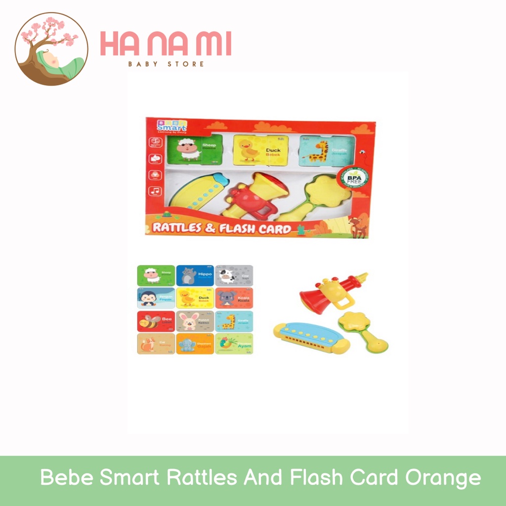 Bebe Smart Baby Rattles &amp; Flash Card Set