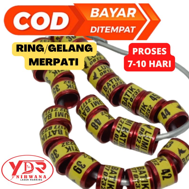 RING MERPATI RING DARA  MODEL RODA
